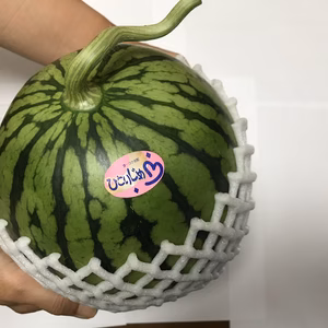 甘い小玉スイカひとりじめ1個とマルセイユメロン1個のセット
