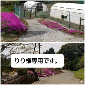 りり様専用です。