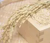 【自然栽培米】玄米 4.5kg 特Ａランク ヒノヒカリ 福岡県産 29年度米