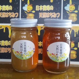 日本蜜蜂の天然はちみつ1００ｇ入り