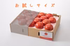 高糖度トマト 0.8kg 化学肥料・農薬完全不使用【７月下旬出荷スタート！】