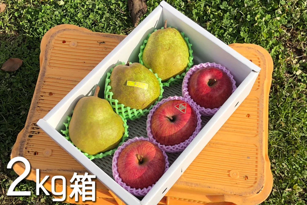 詰め合わせ ラフランスとサンふじ 2キロ/3キロ ギフト 箱まんぱい詰め