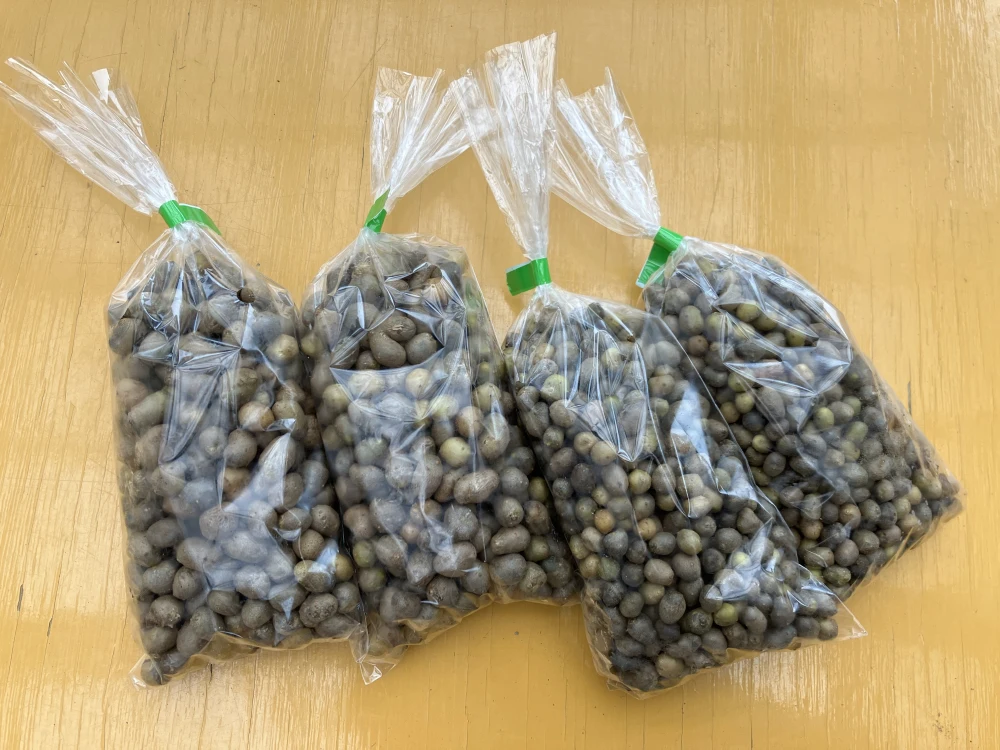 【セット商品】自然薯の赤ちゃん「いもっこ」と自然薯のムカゴMのセット
