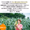 【７月】毎日の食卓を彩る⭕️究極のフレッシュとうもろこし♪５本〜