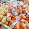 【送料無料】伊豆産　柑橘類/おためし＆おまかせセット　低農薬・農薬不使用