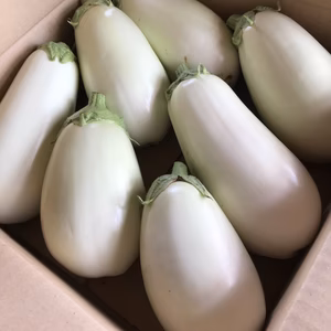 chiffon様専用　ご要望商品