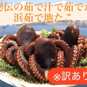 【未利用魚】【訳ありお得品】秘伝の茹で汁で茹でた浜茹で地タコ