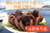 【未利用魚】【訳ありお得品】秘伝の茹で汁で茹でた浜茹で地タコ