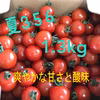 “6月末まで”【川上農園】夏356 ミニトマト 1.3kg 茨城県産 甘み酸味
