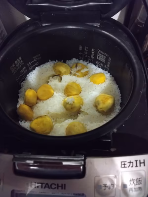 みんなの投稿の画像