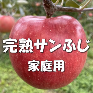 数量限定！【家庭用】サンふじ 約5kg～ 信州りんご 