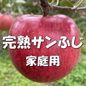 近日中発送！【家庭用】サンふじ 箱満タンで発送します！ 信州りんご 