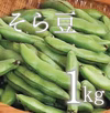 【(予約)５月限定！待ってましたこの季節♪】そら豆(さや付)　1kg