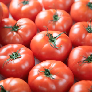 ◆鳥取県産「笑心とまと」（サイズ、形色々）10kg入り！◆