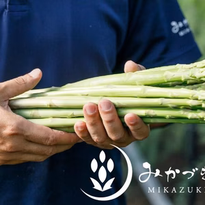 【数量限定❗️】今年最後のアスパラをご堪能ください