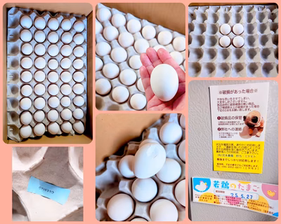 みんなの投稿の画像