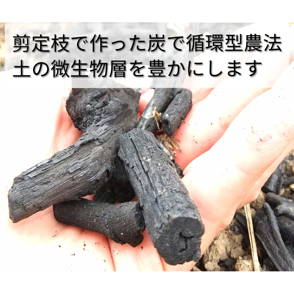 【5/31で終了！10%増量】冷やし焼き芋★熟成シルクスイート