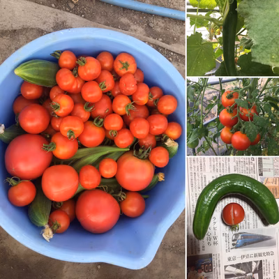 みんなの投稿の画像