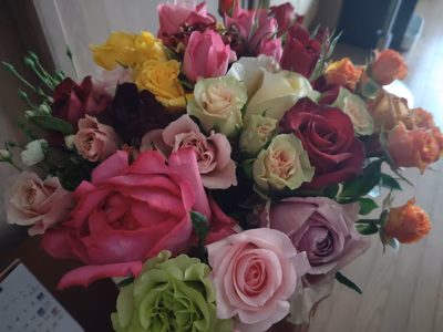 みんなの投稿の画像