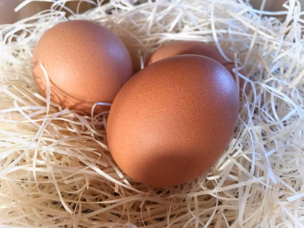 定期便/クール便：納豆菌の仲間『枯草菌』で育てた鶏のたまご