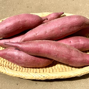 サラリと溶けるホクホク系‼︎新品種「ゆきこまち」Sサイズのみ