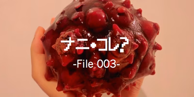 ホヤの簡単さばき方と漁師おすすめの食べ方。本当のホヤの美味しさを知ってほしい…【ホヤの通販も】