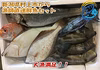 新潟寝屋漁港から直送する一本釣り鮮魚セット