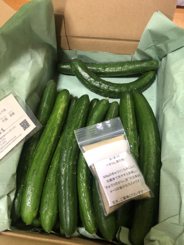 九州からお届け 浅漬け用の昆布 唐辛子つき 新鮮野菜セット 5キロ箱 農家漁師から産地直送の通販 ポケットマルシェ