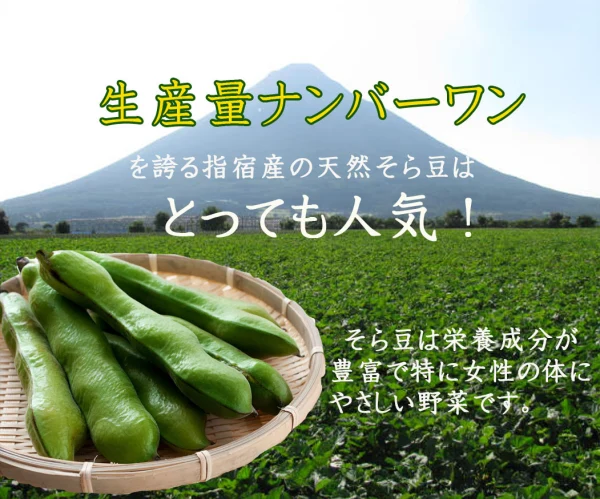 鹿児島県指宿市産 さや付きそら豆LサイズA品 2K｜そら豆の商品詳細