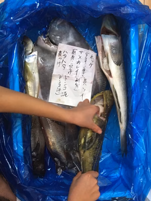 みんなの投稿の画像