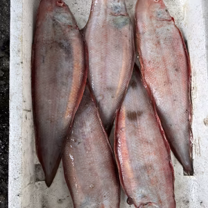 ベタ　クツゾコ　レンチョ　舌平目