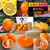 甘～い柑橘の４～５種類を食べ比べ！「お楽しみかん」ご家庭用　サイズ混合【999】