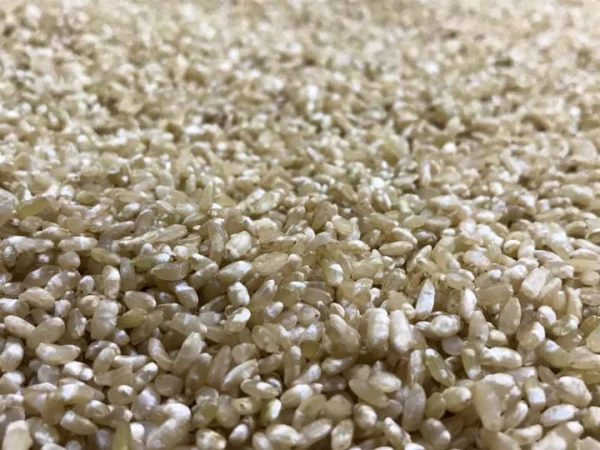 【出来立て】玄米 米糀1kg（お得なセット、白糀との組み合わせもあります）