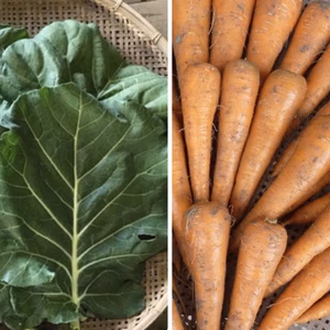 ケール&人参セット