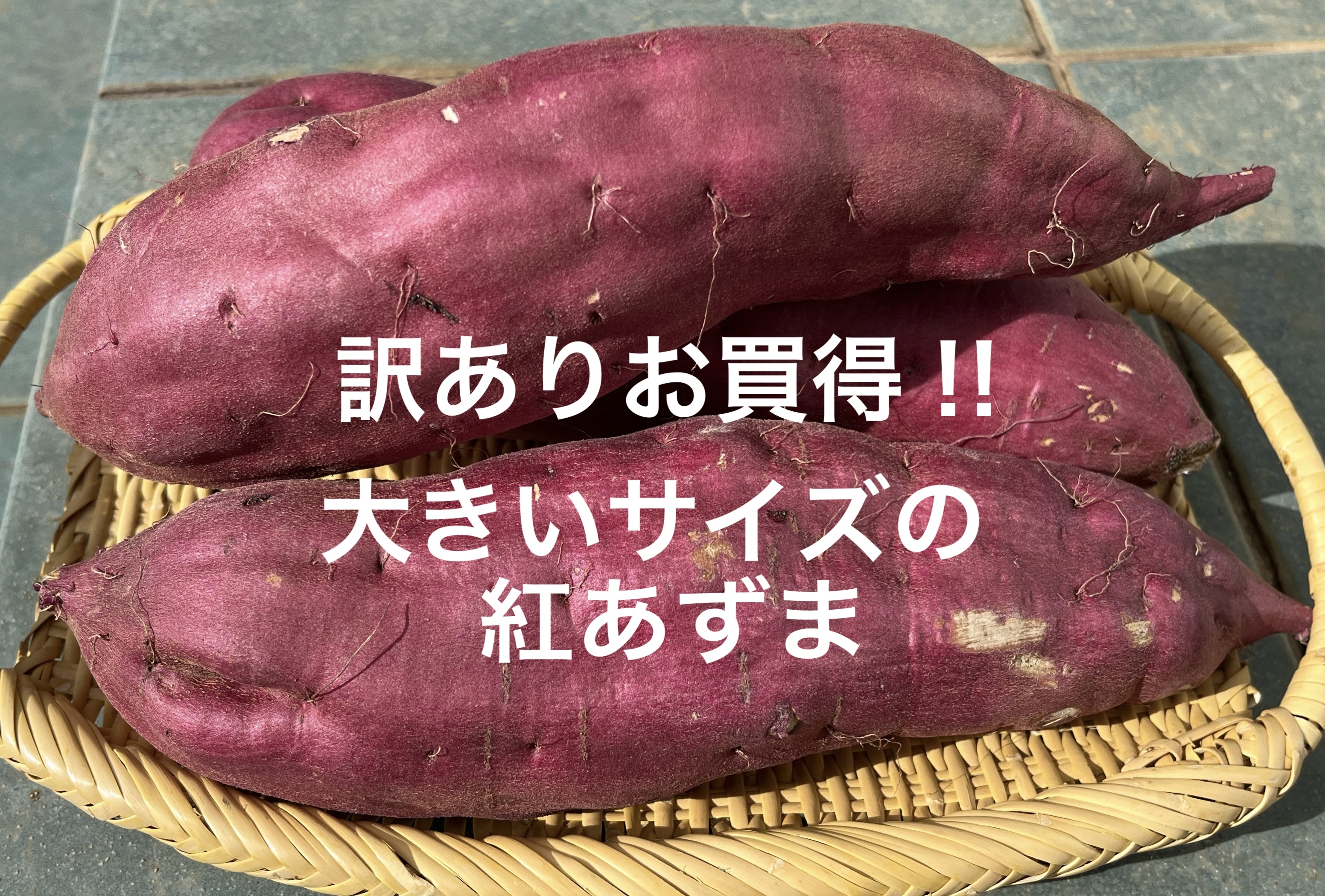 訳あり品だけど味は太鼓判‼︎どすこいサイズ「紅あずま」5キロ箱｜野菜の商品詳細｜ポケットマルシェ｜産直(産地直送)通販 -  旬の果物・野菜・魚介をお取り寄せ