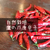 【自然栽培】鷹の爪唐辛子★農薬・肥料不使用｜たかのつめ｜タカノツメ