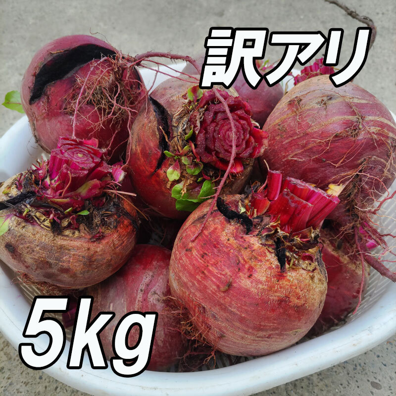 訳アリ 高糖度ビーツ 5kg』農薬・化学肥料不使用！ 千葉県南房総市産