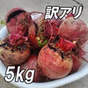 『訳アリ 高糖度ビーツ 5kg』農薬・化学肥料不使用！ 千葉県南房総市産　見た目