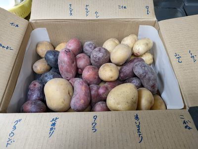 みんなの投稿の画像