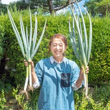脇 伸男