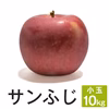 サンふじ【小玉訳あり10kg】ジャム一本おまけ付き☆ 10月中旬頃出荷開始予定