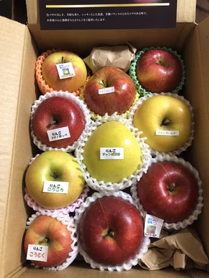 みんなの投稿の画像