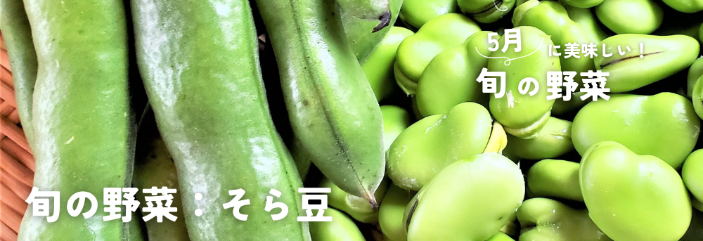 5月に旬のそら豆