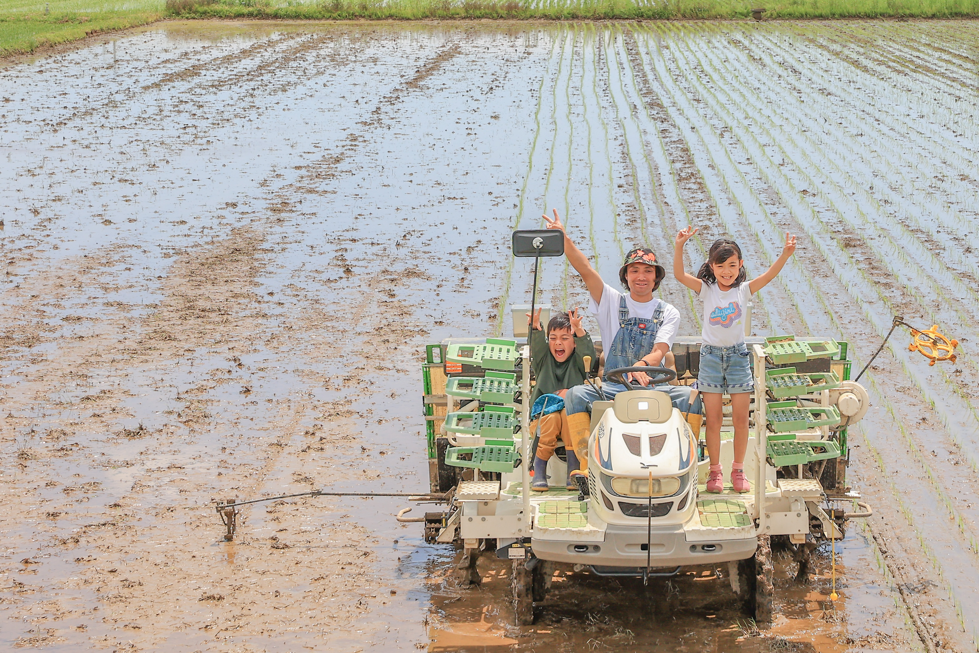 食べ比べorギフトセット】安心のササニシキ×幻のササシグレ【5kg+5kg