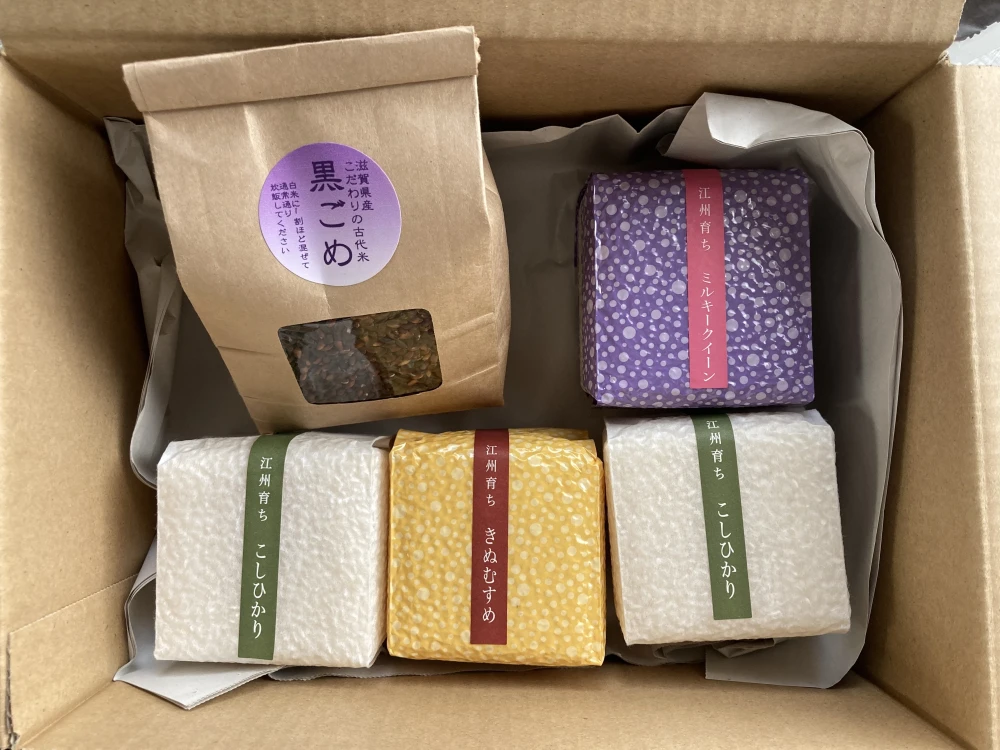 お米食べ比べ！真空パック300g×4 と黒米！500g