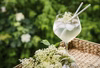 エルダーフラワーコーディアル・Elderflower Cordial