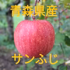 【全国送料無料】青森県産サンふじ ご家庭用 