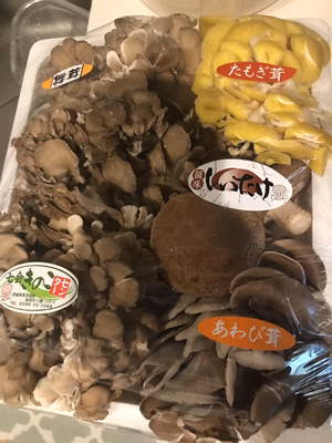 みんなの投稿の画像