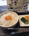 朝炊きたての幸せ♪米専用低温冷蔵庫保管　滋賀県産コシヒカリ　ほんのり甘い湖
