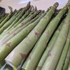 朝採りアスパラガス1ｋｇ　L-3L